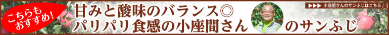Ԃ̃Tӂ width=