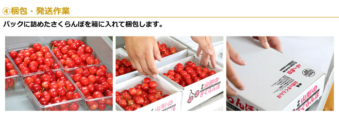 04梱包・発送作業