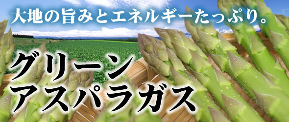 ��n�̎|�݂ƃG�l���M�[�����Ղ�B�O���[���A�X�p���K�X