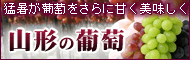 �R�`�̕���