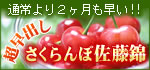 超早出しさくらんぼ佐藤錦