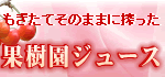 �ʎ����̃W���[�X