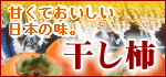 �R�`�̓��I�ʎ� �����`
