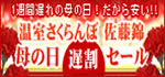 母の日遅割セール