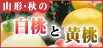 �R�`�̔����E����
