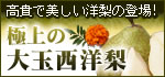 �ɏ�̑�ʐ��m��
