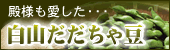 �P�ʁ@�a�l�����������R�������ᓤ