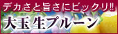 �Q�ʁ@�R�`�̕���
