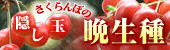 �Q�ʁ@�������ڂ̉B���� �Ӑ���