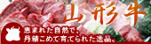 �S�ʁ@�قǂ悢���~��Ɠ����̂��炩��