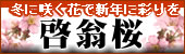 �Q�ʁ@�����ӂ��ƍg��