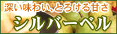 �R�ʁ@�����`