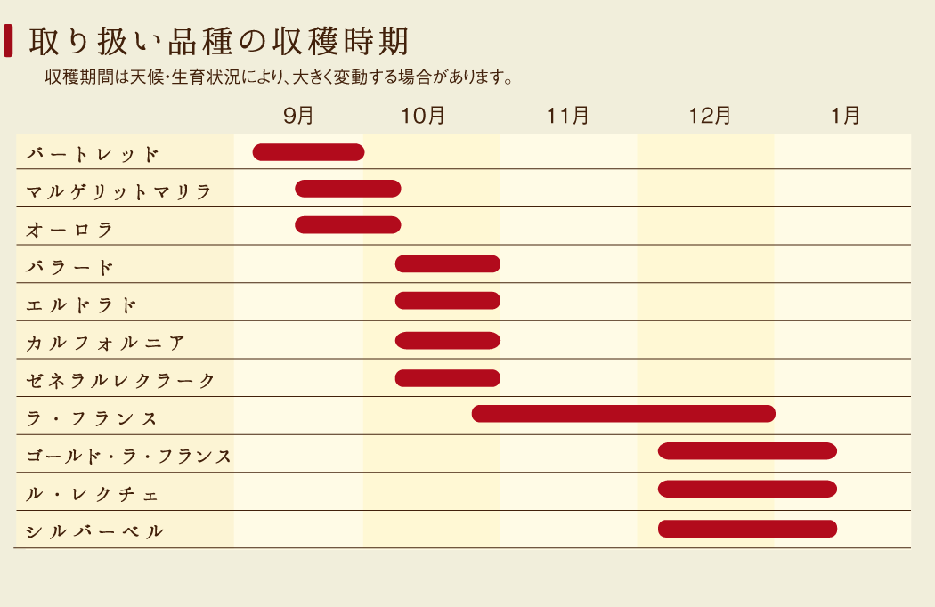 西洋梨の旬