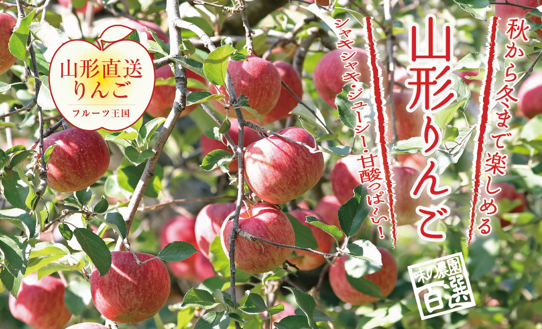りんご リンゴの通販なら味の農園