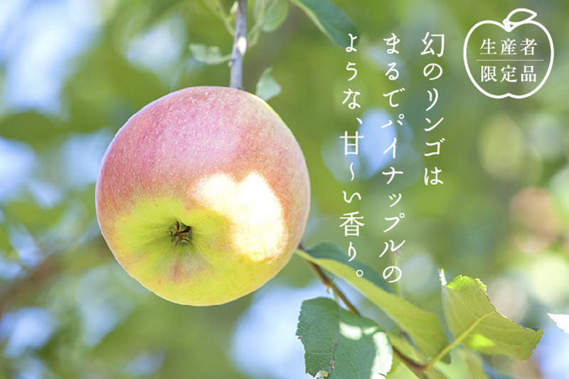 高徳（こうとく）・蜜入りりんご｜リンゴの通販 お取り寄せなら味の農園
