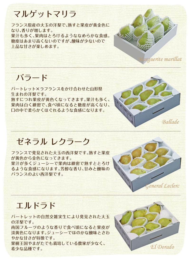 西洋なし 10月 販売 通販 味の農園 西洋なし 10月 販売 通販 味の農園