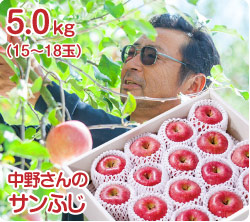 삳̃Tӂi51-Jj