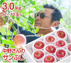 삳̃Tӂi51-Ij