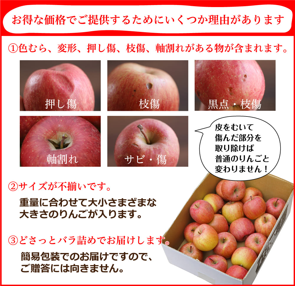 ������p���i�̗��R