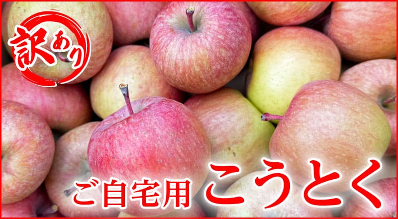 �R�`���Y�����Ƃ��i������p�j