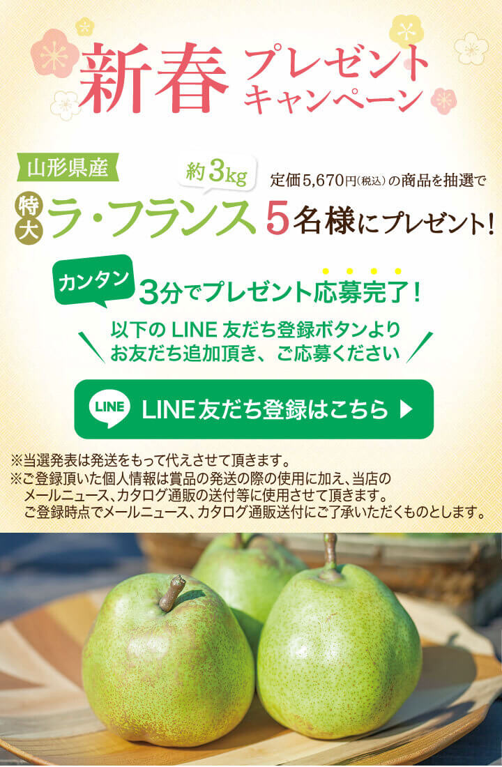 こじりんさん専用 りんご 青森 サンふじ ぐんま名月 約 5kg (12～18玉) リンゴ