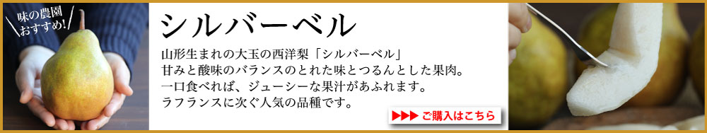 シルバーベル