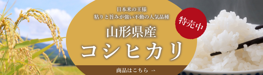 �R�V�q�J������