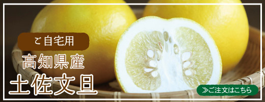 自宅用文旦