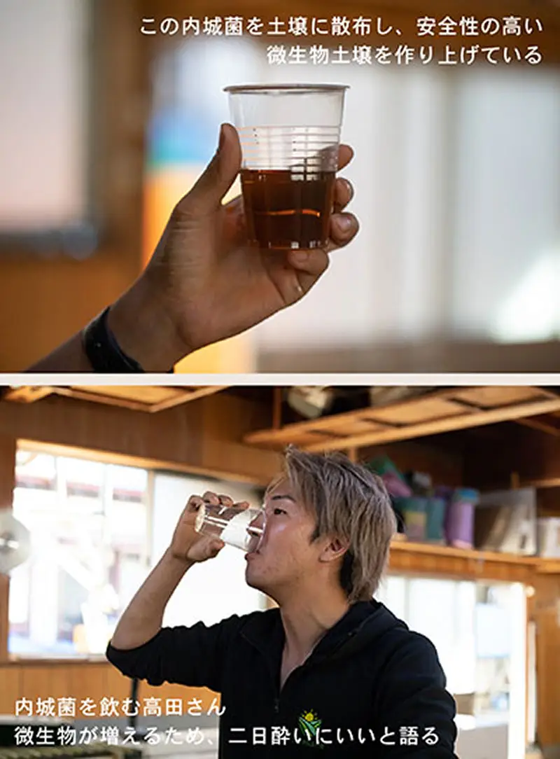 赤くて濃厚なニンジンが育つヒミツ、それは”赤土”