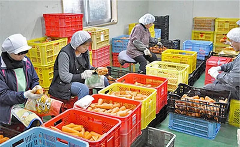 山高原育ちのにんじんジュース