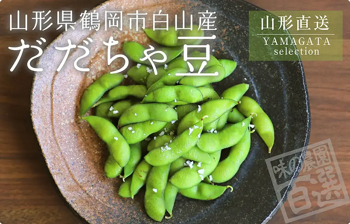 山形県鶴岡市白山産だだちゃ豆