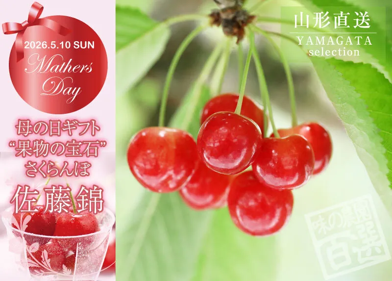 母の日さくらんぼ | 味の農園