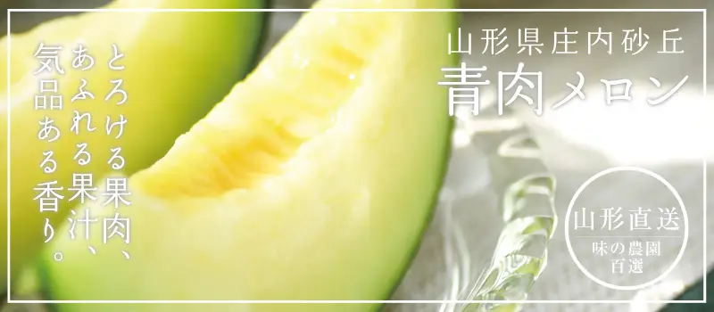 庄内砂丘 青肉メロン