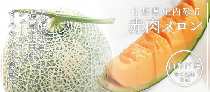庄内砂丘 赤肉メロン