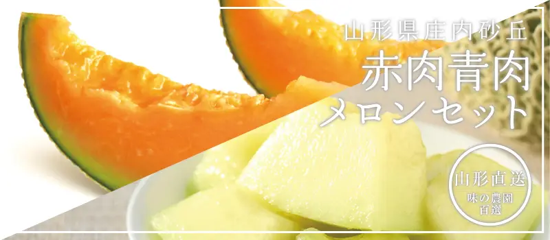 青肉赤肉 メロンセット