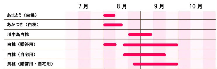 桃のお届け時期