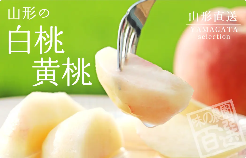 山形の白桃 黄桃