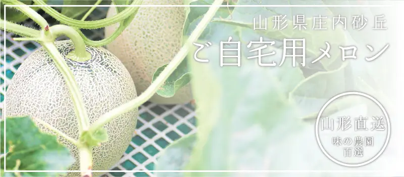 ご自宅用メロン