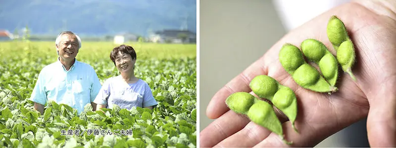 伊藤さんのだだちゃ豆