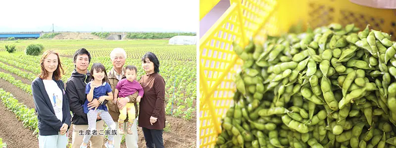 よそべさんのだだちゃ豆