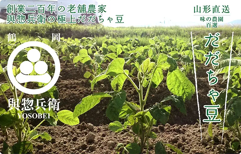 渡部さんのだだちゃ豆