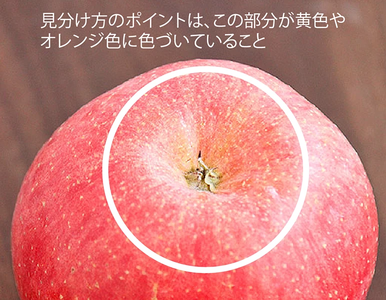 サンふじの蜜入りの見分け方