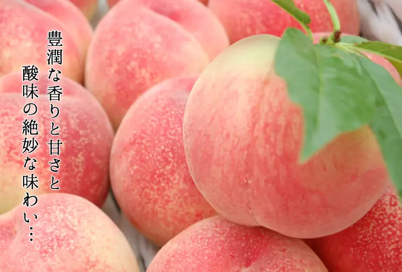 芳醇な香りと甘さと酸味の絶妙な味わい