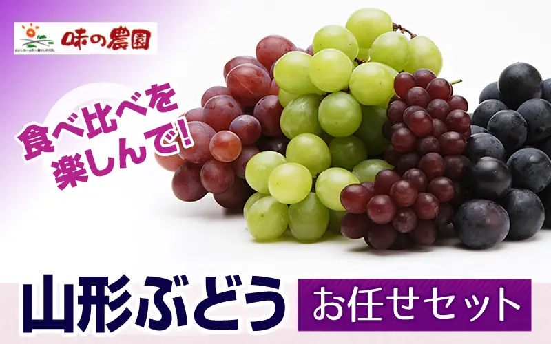 山形ぶどう　おまかせセット
