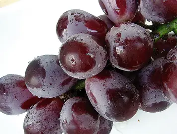 北光（ほっこう）