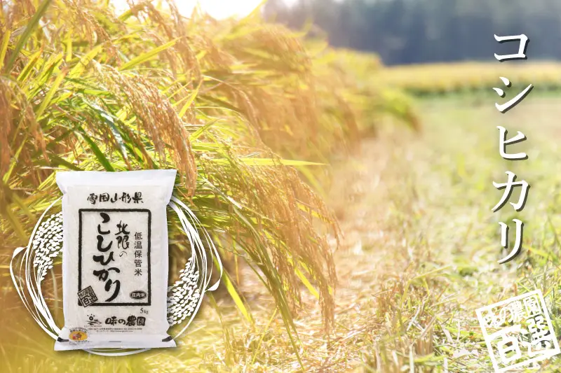 コシヒカリ