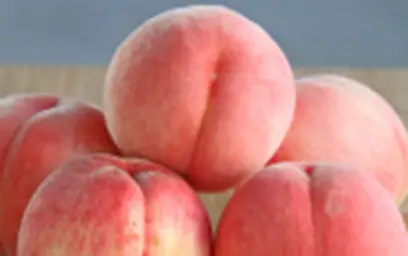 あかつき（白桃）