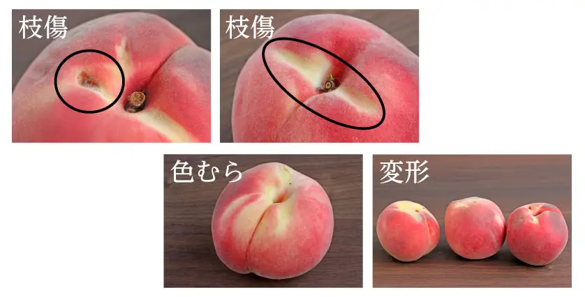 枝傷　色むら　変形