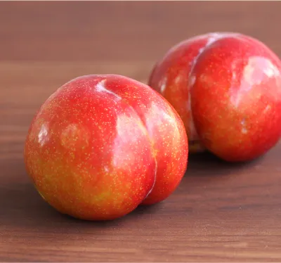 甘くて大きい山形県産のすもも（プラム）