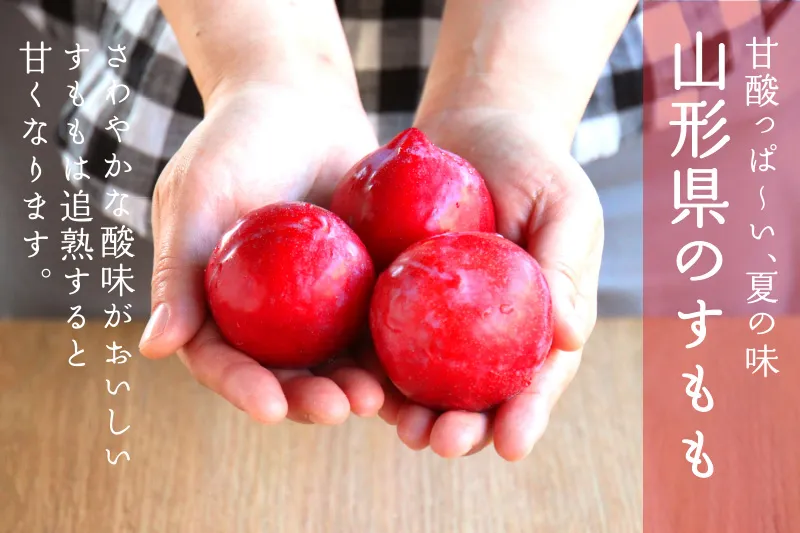 甘酸っぱ～い、夏の味　山形県のすもも